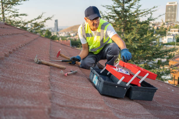 Affordable siding repair and maintenance services in West Point, NE